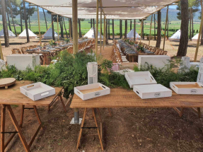 sombras de madera (10)