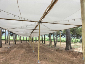 sombras de madera (5)