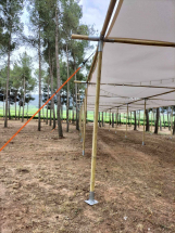 sombras de madera (8)