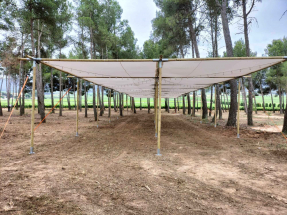 sombras de madera (9)