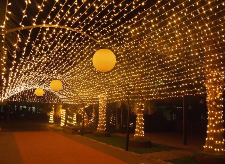 Paseo iluminado con luces decorativas y palmeras, creando un ambiente acogedor y tropical.