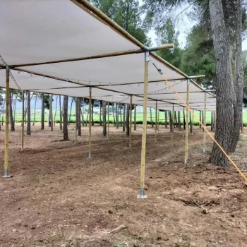 Carpa con postes y toldo en un campo abierto, proyectando sombra sobre el suelo.