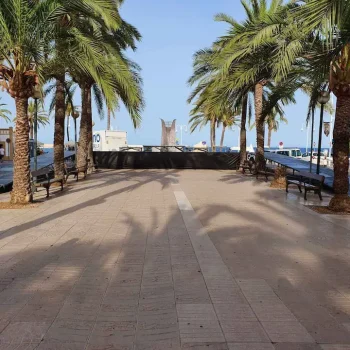 Escenario con palmeras y bancos, con una rampa que permite el acceso.