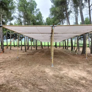 Sombra montada en una estructura de madera en un campo rodeado de árboles verdes y frondosos.