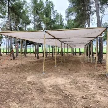 Amplia sombra sostenida por postes de madera, ubicada en un campo, con un paisaje natural de fondo.