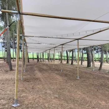Carpa con toldo y postes de madera en el centro de un campo abierto, rodeada de hierba verde.