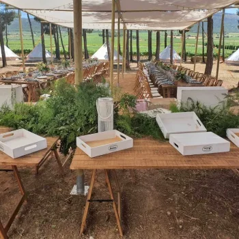 Mesa con cajas blancas organizadas bajo una carpa, preparada para una reunión o celebración.